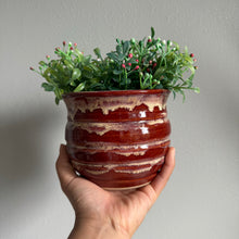 Load image into Gallery viewer, Honey Pot Planters