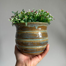 Load image into Gallery viewer, Honey Pot Planters