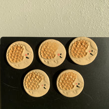 Load image into Gallery viewer, Random Set of 5 Magnets