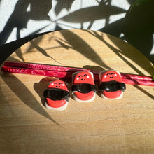 Load image into Gallery viewer, Spam Musubi