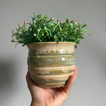 Load image into Gallery viewer, Honey Pot Planters