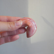 Load image into Gallery viewer, Fortune Gift Cookies