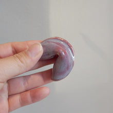 Load image into Gallery viewer, Fortune Gift Cookies