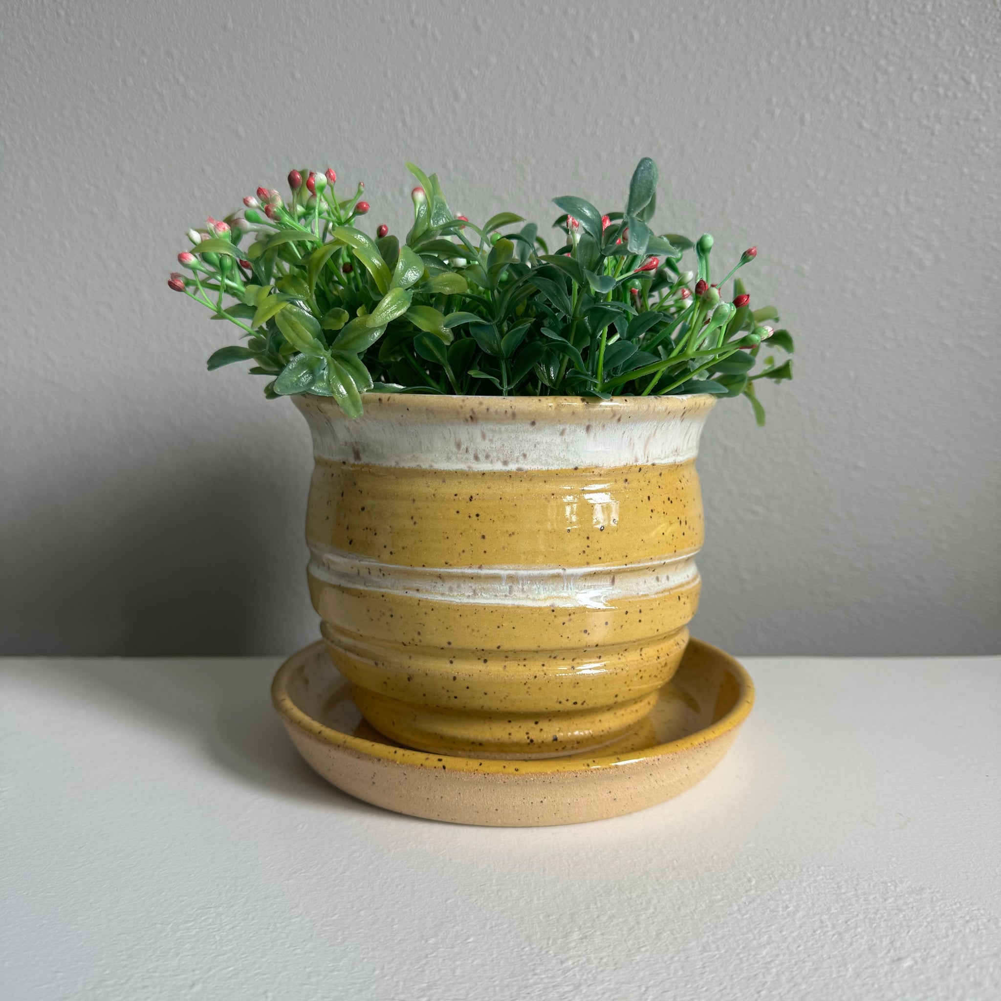 honey pot planter Honey Pot Planters – AJE Pottery
