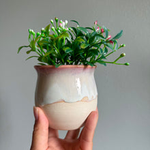 Load image into Gallery viewer, Pink Planter
