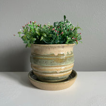 Load image into Gallery viewer, Honey Pot Planters
