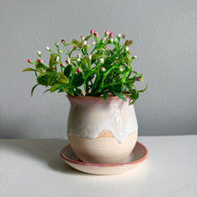 Load image into Gallery viewer, Pink Planter
