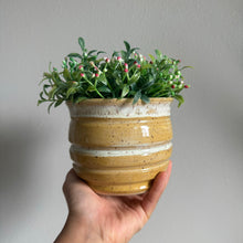 Load image into Gallery viewer, Honey Pot Planters
