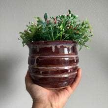 Load image into Gallery viewer, Honey Pot Planters
