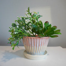 Load image into Gallery viewer, Small Planter w/ Water Catcher
